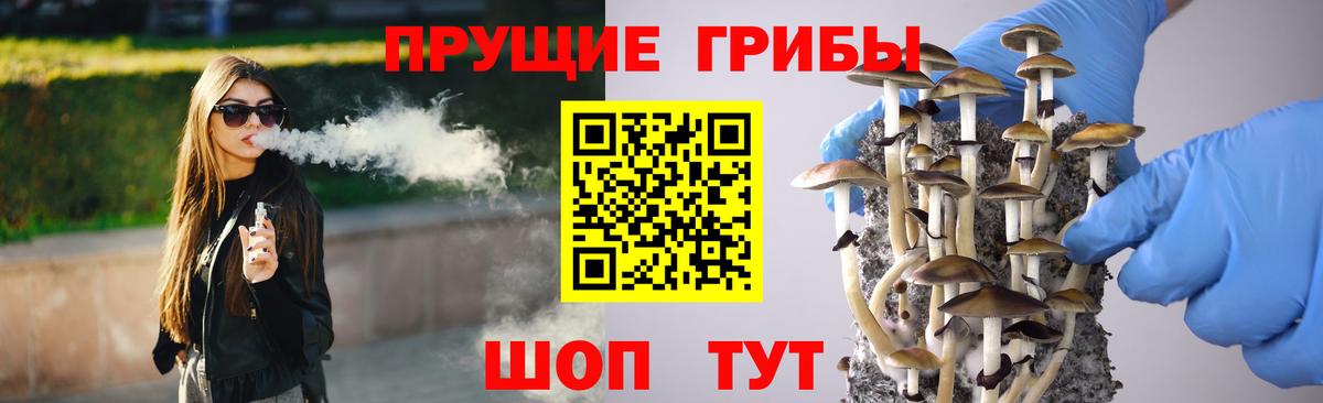 Псилоцибиновые грибы Magic Shrooms  Галлюциногенные грибы Magic Shrooms  Узловая  Вход с VPN 