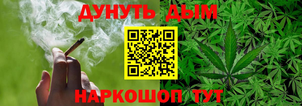 Марихуана гибрид  Вход с VPN  Узловая  Каннабис семена  Шишки марихуана Amnesia 